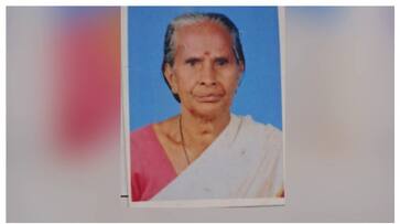 tree branch fell on the head and the old lady died in palakkad fvv tree branch fell on the head and the old lady died in palakkad fvv