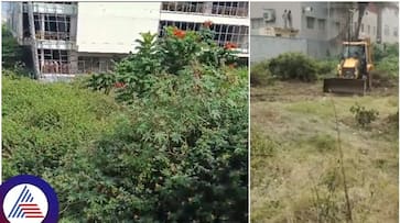 Bengaluru's empty site owners to face fines over bush growth, BBMP issues warning vkp Bengaluru's empty site owners to face fines over bush growth, BBMP issues warning vkp