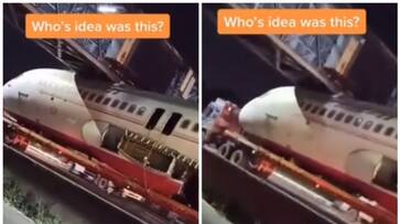 social media users laugh on Video of one of the safest plane crashes bkg social media users laugh on Video of one of the safest plane crashes bkg