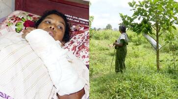 woman lost finger in pig attack in palakkad SSM woman lost finger in pig attack in palakkad SSM