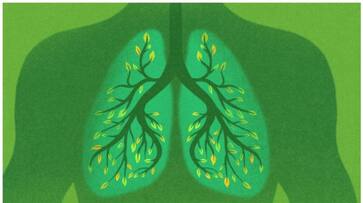 these foods will keep your lungs healthy these foods will keep your lungs healthy