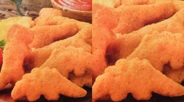 13608 kilo gram dinosaur shaped Chicken nuggets recalled SSM 13608 kilo gram dinosaur shaped Chicken nuggets recalled SSM