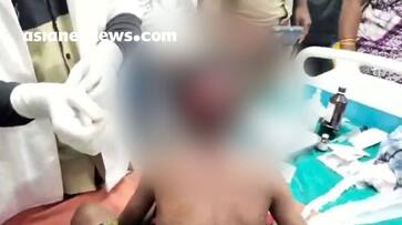 seven year old child injured in leopard attack kgn seven year old child injured in leopard attack kgn