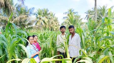 Advice to farmers to take precautionary measures to avoid disease in crops snr Advice to farmers to take precautionary measures to avoid disease in crops snr