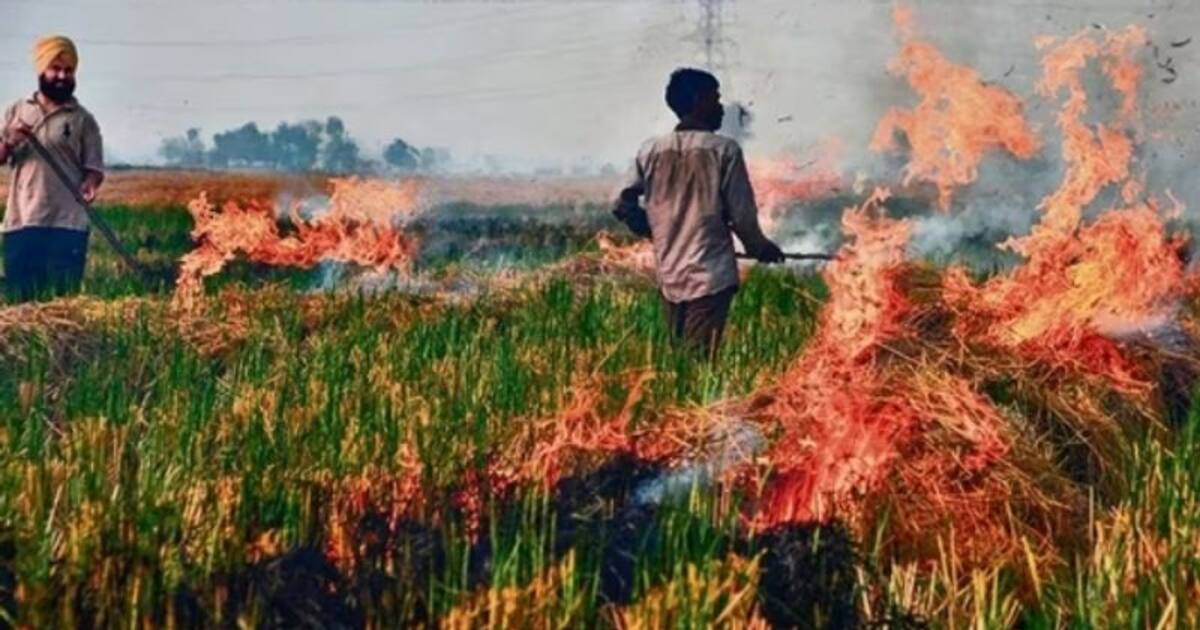 என்ன செய்வீர்களோ தெரியாது.. புற்களை எரிப்பதை நிறுத்துங்கள் - பஞ்சாப் அரசுக்கு உச்ச நீதிமன்றம் கடும் கண்டனம்!