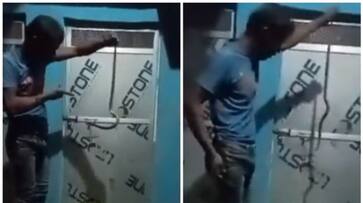 video goes viral of a drunkard who played with a snake was bitten and died bkg video goes viral of a drunkard who played with a snake was bitten and died bkg