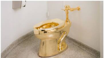 Chargesheet filed against four people in gold toilet worth Rs 50 crore stolen four years ago bkg Chargesheet filed against four people in gold toilet worth Rs 50 crore stolen four years ago bkg