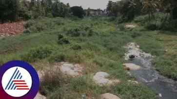 Arkavati river in Ramnagar is polluted rav Arkavati river in Ramnagar is polluted rav