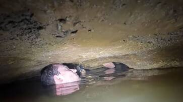 man nearly drown in cave during exploration rlp man nearly drown in cave during exploration rlp