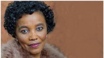 South African transport minister robbed at gunpoint BKG South African transport minister robbed at gunpoint BKG
