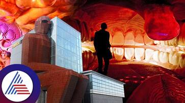 There Is A Human Like Museum In Netherland roo There Is A Human Like Museum In Netherland roo
