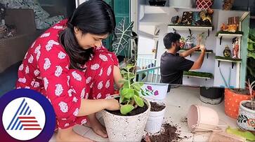 Aditi Prabhudeva showed how to grow plants beautifully in a small balcony suc Aditi Prabhudeva showed how to grow plants beautifully in a small balcony suc