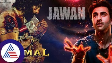 Animal to release in 888 screens in USA surpassing Brahmastra Jawan suc Animal to release in 888 screens in USA surpassing Brahmastra Jawan suc