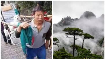 woman paid 11000 rupees to two people who carried the dog for mountain trekking bkg woman paid 11000 rupees to two people who carried the dog for mountain trekking bkg