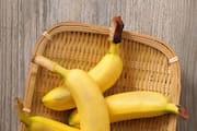 Can Diabetes Patients Eat Bananas? What Expert Says check here Rya