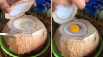 viral video in which a bizarre dish calls coconut preparing viral video in which a bizarre dish calls coconut preparing