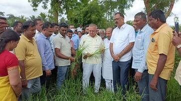 Central Government is Targeting Karnataka Says Minister Ramalinga Reddy grg Central Government is Targeting Karnataka Says Minister Ramalinga Reddy grg