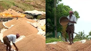threat from mill owners and middle men farmers at crisis in alappuzha SSM threat from mill owners and middle men farmers at crisis in alappuzha SSM
