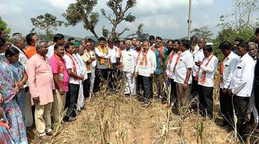 Shivamogga BJP MP BY Raghavendra Slams Siddaramaiah Government grg Shivamogga BJP MP BY Raghavendra Slams Siddaramaiah Government grg