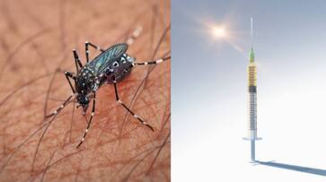 First Vaccine Against Chikungunya Virus Ixchiq America Gives Approval SSM First Vaccine Against Chikungunya Virus Ixchiq America Gives Approval SSM