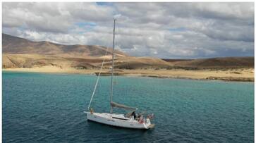 Travelers on the yacht miraculously escaped on 45-minute killer whale attack bkg Travelers on the yacht miraculously escaped on 45-minute killer whale attack bkg