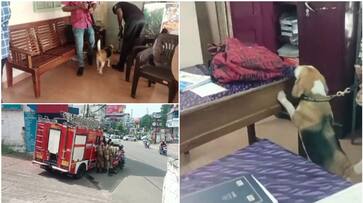 man charged with false bomb threats in kothamangalam apn man charged with false bomb threats in kothamangalam apn