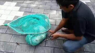 Stray dog head stuck in plastic bottle animal rescue team helps asd Stray dog head stuck in plastic bottle animal rescue team helps asd
