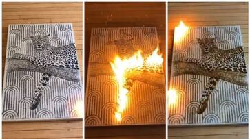 viral video of a gunpowder art bkg viral video of a gunpowder art bkg