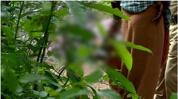 burned dead body found in pathanamthitta nbu burned dead body found in pathanamthitta nbu