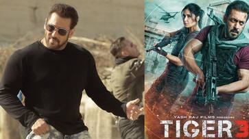 Tiger 3 box office collection Day 1: Salman spy triller film opens with Rs 44 crore vvk Tiger 3 box office collection Day 1: Salman spy triller film opens with Rs 44 crore vvk
