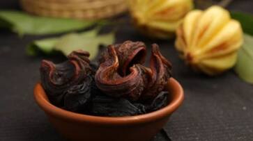 malabar tamarind helps for weight loss says studies malabar tamarind helps for weight loss says studies