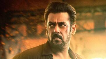 Salman Khans Tiger 3 collection report out hrk Salman Khans Tiger 3 collection report out hrk