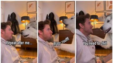 video of a dog teaching its owner its own language has gone viral bkg video of a dog teaching its owner its own language has gone viral bkg
