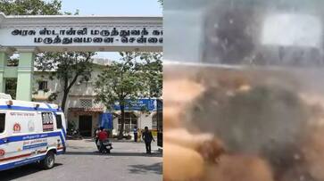 Rat found eating foods in Chennai Stanley GH Canteen Glass box deen ordered to close canteen ans Rat found eating foods in Chennai Stanley GH Canteen Glass box deen ordered to close canteen ans