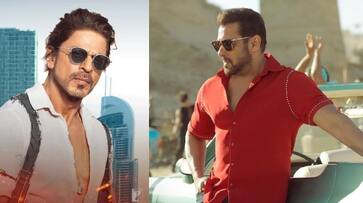 tiger 3 opening box office collection salman khan pathaan shah rukh khan yrf spy universe bollywood nsn tiger 3 opening box office collection salman khan pathaan shah rukh khan yrf spy universe bollywood nsn