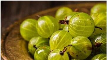 amla for hair growth and hair strength amla for hair growth and hair strength