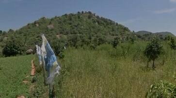The wild boars ate the millet that had grown on loan at ramanagara gvd The wild boars ate the millet that had grown on loan at ramanagara gvd