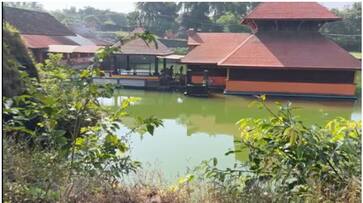 Kasaragod ananthapura lake temple new crocodile Latest news after babiya died asd Kasaragod ananthapura lake temple new crocodile Latest news after babiya died asd
