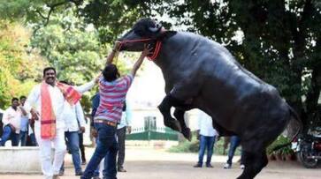 Sadar Utsav Mela: Traffic restrictions imposed at many places in Hyderabad RMA Sadar Utsav Mela: Traffic restrictions imposed at many places in Hyderabad RMA