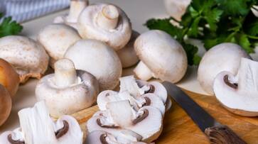 benefits of eating mushrooms at winters benefits of eating mushrooms at winters