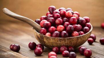 benefits of cranberry for skin benefits of cranberry for skin