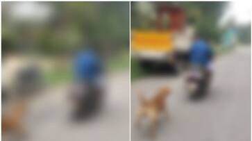 Man tied dog in scooter and drive, police register case prm Man tied dog in scooter and drive, police register case prm