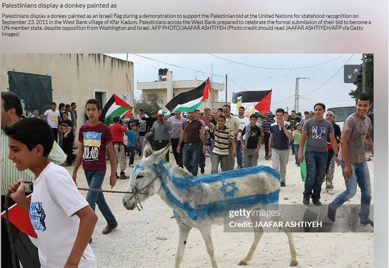 Israel Hamas War Palestinians burn the donkey here is the fact of photos 2023 11 15 jje 