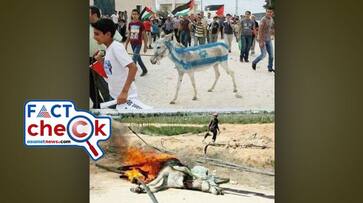 Israel Hamas War Palestinians burn the donkey here is the fact of photos 2023 11 15 jje Israel Hamas War Palestinians burn the donkey here is the fact of photos 2023 11 15 jje