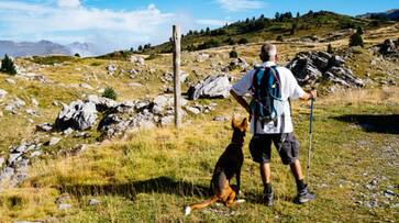 hiker who disappeared in August was found months later with his pet do waiting at his side etj hiker who disappeared in August was found months later with his pet do waiting at his side etj