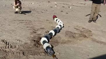 Engineer who failed to get into IIT creates NASA's snake-like robot EELS, inspired by Indian python snt Engineer who failed to get into IIT creates NASA's snake-like robot EELS, inspired by Indian python snt