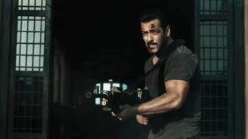 Salman Khans Tiger 3 faces ban in Qatar Oman vvk Salman Khans Tiger 3 faces ban in Qatar Oman vvk
