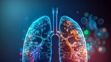 World COPD Day Know Causes Symptoms Treatment and Risk Factors btb World COPD Day Know Causes Symptoms Treatment and Risk Factors btb