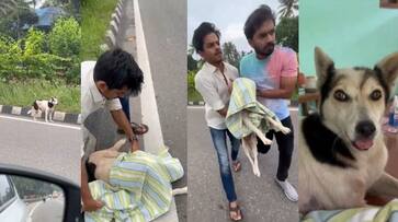 controversy on a young man took injured dog to hospital in thiruvananthapuram police complaint against him afe controversy on a young man took injured dog to hospital in thiruvananthapuram police complaint against him afe