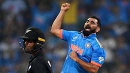 Mohammed Shami becomes first bowler to pick four five-wicket hauls in ICC Cricket World Cup RMA